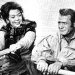 Mrs Pollifax Spy Movie Picture