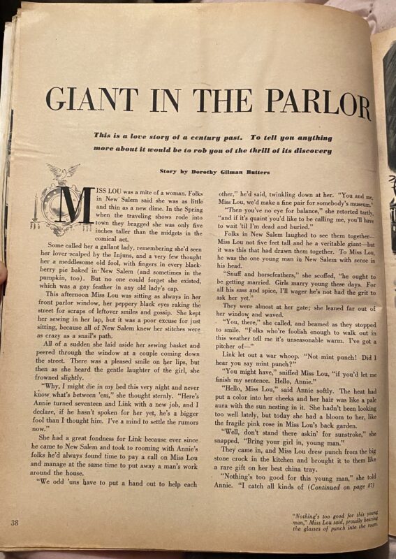 A Giant in the Parlour by Dorothy Gilman Butters